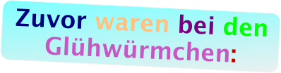 Zuvor waren bei den  Glühwürmchen: